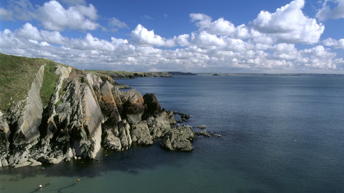 View over St Bride's Bay, looking East from Porth Clais harbour with dramatic cliffs and a colony of seabirds, Pembrokeshire, Wales